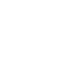 iconos (3)