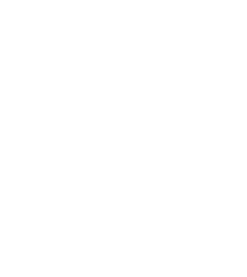 iconos